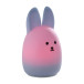Nattlampa Kanin