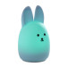 Nattlampa Kanin