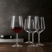 Spiegelau Style Dinner Set