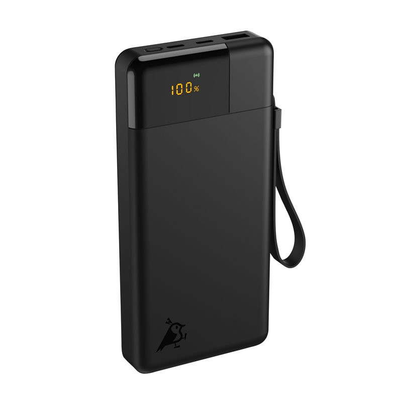 Powerbank 20.000mAh 65W