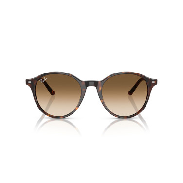 Solglasögon Bernard Havana